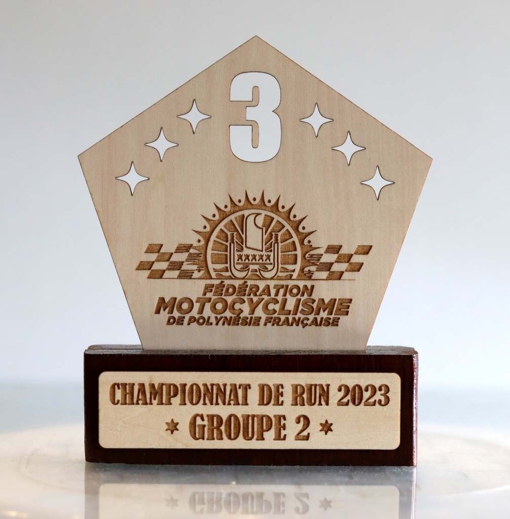 Trophées personnalisés en bois bi matière