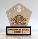 Trophées personnalisés en bois bi matière