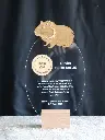 TropheeVeto_02.webp